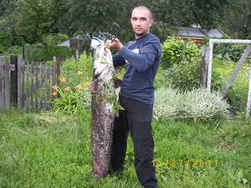 Митя Борщев фотография #8