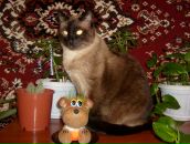 Фотография Суворовой Елены