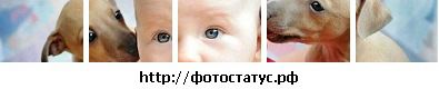 Іра Дитко фотография #4 (источник - https://vk.com/id21786380)