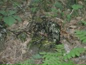 Фотография Романова Андрея