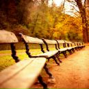 Фотография Бакшеева Александра