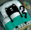 Фотография Котельникова Дмитрия