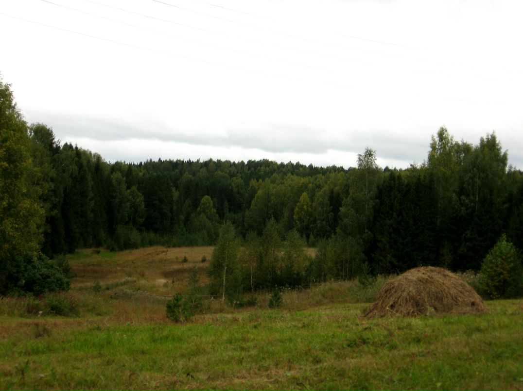 Дарья Дмитриева фотография #38