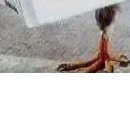 Андрій Баторик фотография #47 (источник - https://vk.com/id49054076)