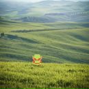 Фотография Камалутдинова Артура