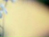 Ксюшка Хлебнік фотография #26 (источник - https://vk.com/id16374266)