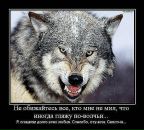 Фотография Калашникова Дмитрия