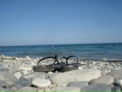 Фотография Мельниковой Татьяны