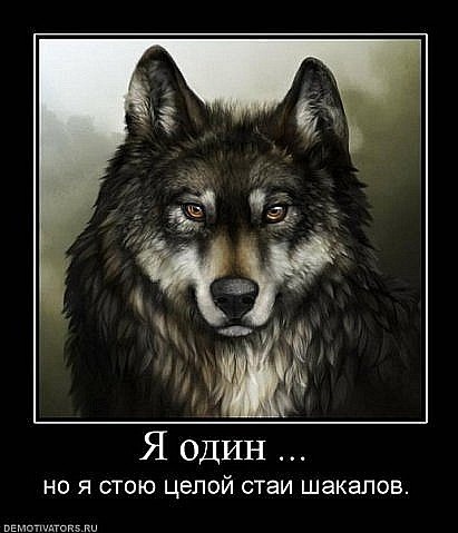 №5, Олег Корнет №5, Олег Корнет
