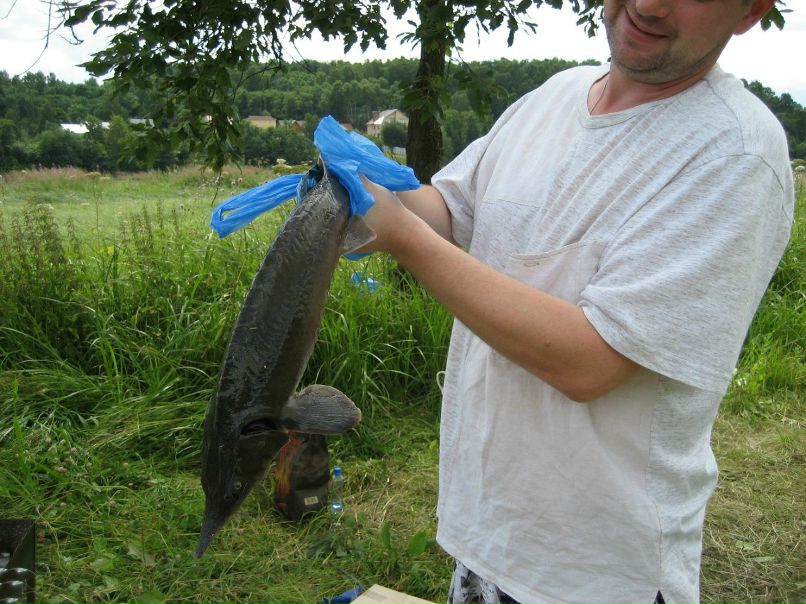 Олег Ефимов фотография #8