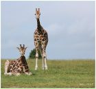 Фотография Филиппова Тимофея