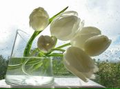 Фотография Павловой Александры