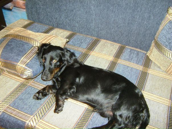 №20, Таня Гертель №20, Таня Гертель