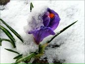 Фотография Барановой Татьяны