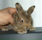 Фотография Гороненковой Юлии