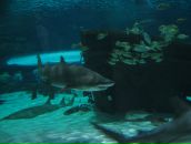 Назар Двуліт фотография #50 (источник - https://vk.com/id9731008)