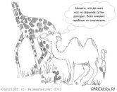 Ник Битнер фотография #5 (источник - https://vk.com/id495601)