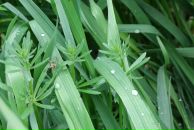 Денис Пузенко фотография #16 (источник - https://vk.com/id2951850)