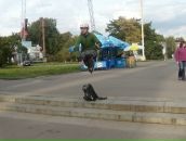 Дмитрий Пуш фотография #4 (источник - https://vk.com/id916721)