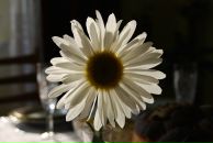 Юрій Дацько фотография #32 (источник - https://vk.com/id9641386)