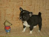 Фотография Артемьевой Ирины