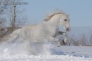 Галина Григорів фотография #3 (источник - https://vk.com/id244617573)