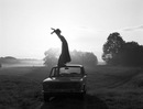 Фотография Канцыревой Ирины