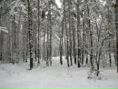 Виктор Долина фотография #43 (источник - https://vk.com/id6540682)