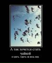 Андрій Мельник фотография #39 (источник - https://vk.com/id28408195)