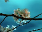 Фотография Казаковой Ольги