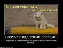 Зинаида Лис фотография #42 (источник - https://vk.com/id809099)
