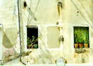 Анна Райхе фотография #25 (источник - https://vk.com/id12264)