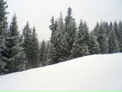 Юлія Латишева фотография #30 (источник - https://vk.com/id355923413)