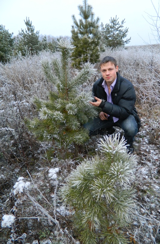 Дмитрий Романченко фотография #36