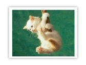 Андрій Гаврилюк фотография #5 (источник - https://vk.com/id100754025)