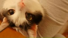 Фотография Дмитриевых Дарьи