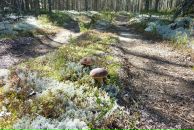 Фотография Куницкого Геннадия