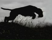 Фотография Беляевой Екатерины