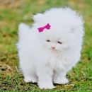 Анна Шалудішева фотография #1