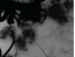 Андріана Винницька фотография #27 (источник - https://vk.com/id141510258)