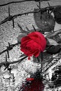 Вікуся Зеленюк фотография #5 (источник - https://vk.com/id134996945)