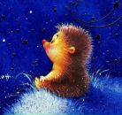 Фотография Шкабарова Сергея