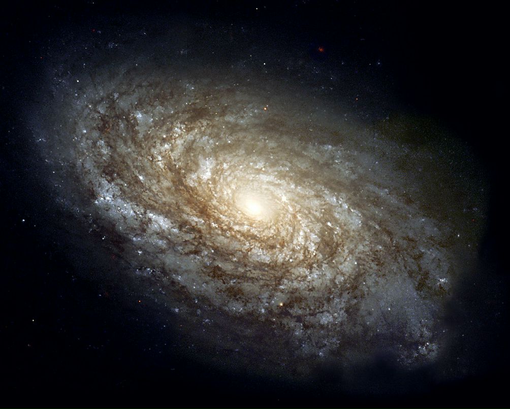 Дмитрий Тушин фотография #30