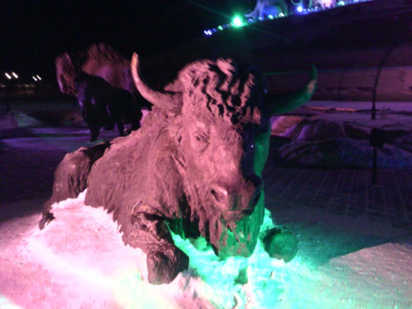 Юра Башков фотография #39