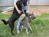 Фотография Клюквиной Ольги