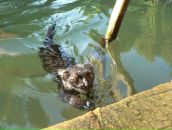 Фотография Бикинеев Виктор