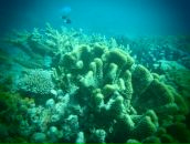 Евгений Мурышкин фотография #12 (источник - https://vk.com/id107583)