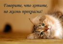 Марія Сабатяк фотография #5 (источник - https://vk.com/id334465080)