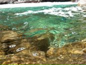 Дмитрий Неруш фотография #31 (источник - https://vk.com/id1175015)