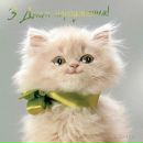 Лена Арічук фотография #33 (источник - https://vk.com/id166417537)